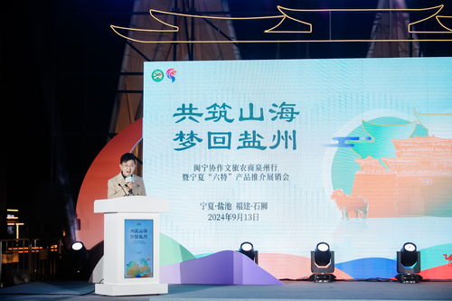 絲路情·山海緣——閩寧文化藝術(shù)交流及旅游資源推介活動策劃方案